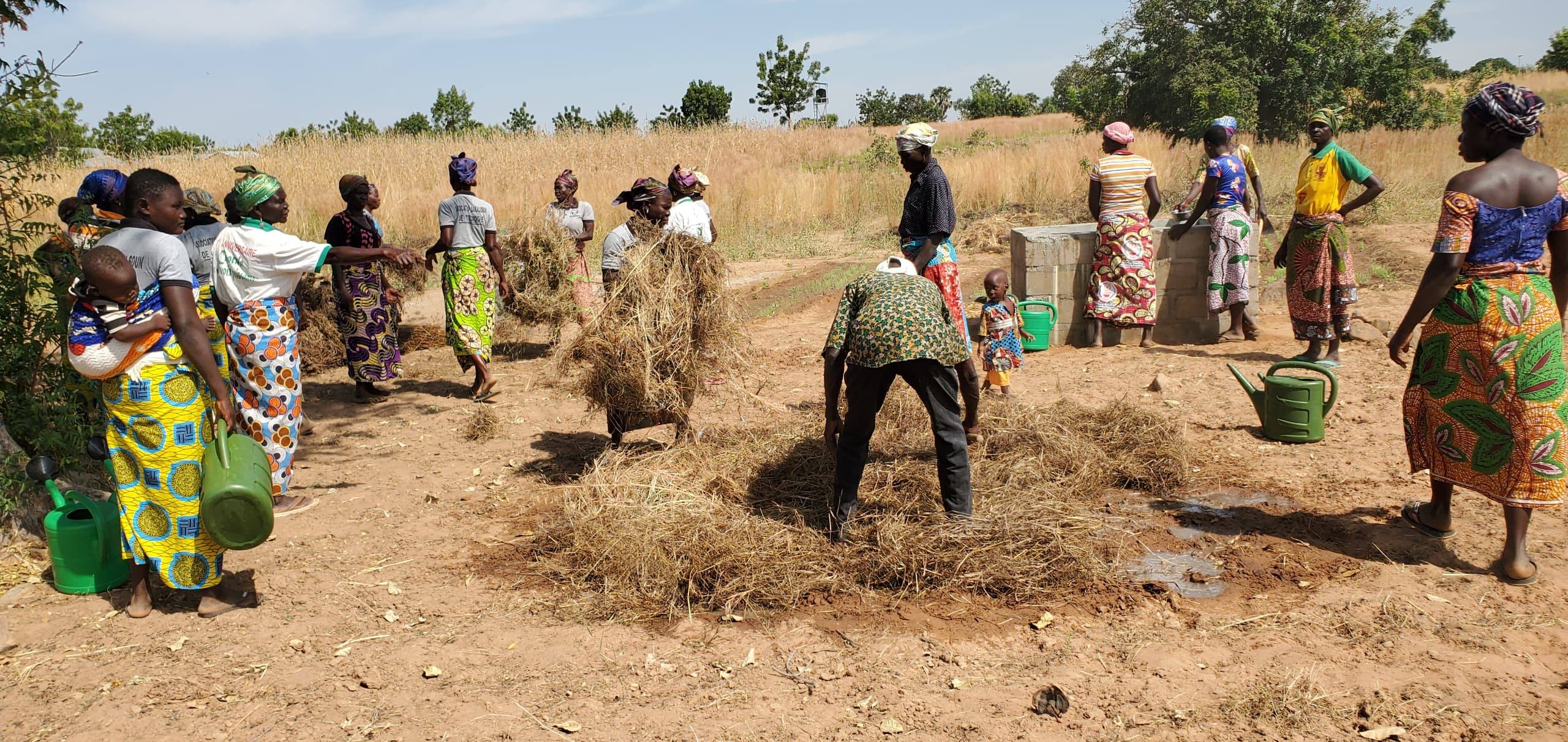 Aucune description de photo disponible.