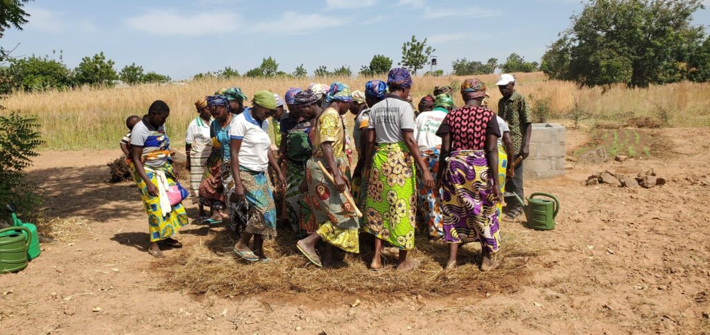 Peut être une image de arbre