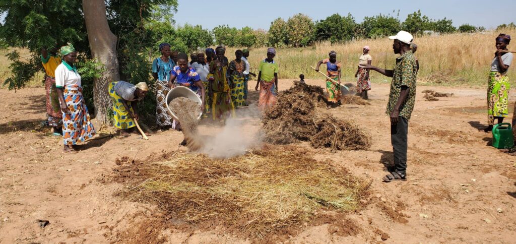 Peut être une image de herbe